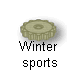 Winter  
 sports
